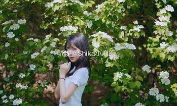 发掘Shika小鹿鹿的纯白写真资源：每一幅都是心灵的宁静