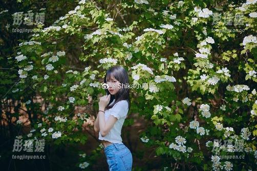 发掘Shika小鹿鹿的纯白写真资源：每一幅都是心灵的宁静