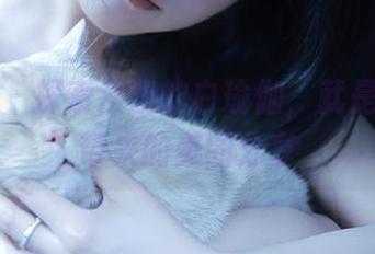 微密圈 – 探索夜晚的白瑜伽，就是阿朱啊带来的美图分享