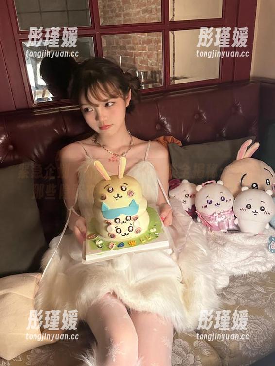 紧急企划 - 小枫秘密作品集全揭秘：分享那些隐藏在镜头后的动人故事与情感