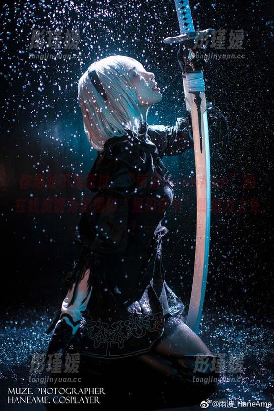 你绝对不想错过，“雨波HaneAme”的在线资源为你揭秘“星刃伊芙”的魅力之处！